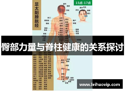 臀部力量与脊柱健康的关系探讨